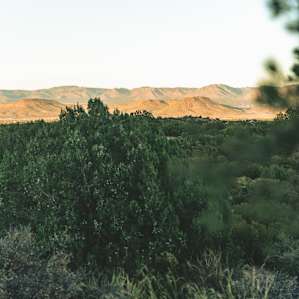 Peaceful primitive camping