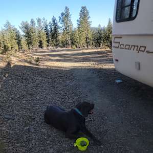 The Wilderness
