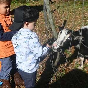 Florida fun on the farm