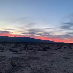 Mojave Trailer Oasis