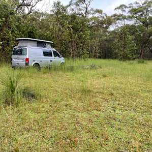 Ironbark Ranch - Free Range