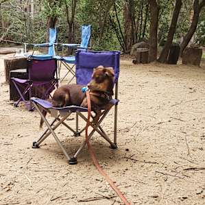 Loungin around the large propane fire pit in the shared area