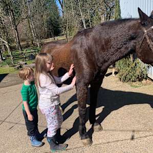 Horse Lovers Paradise - Bunkhouse