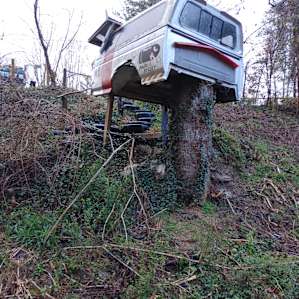 Baying Hound Campground *SITE 2*