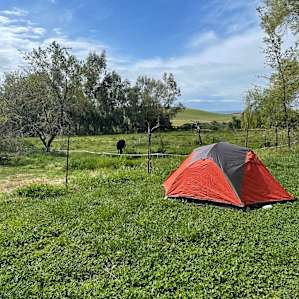 Teepee on family farm