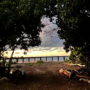 Mangrove Lounge
