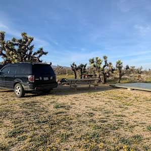 Joshua Tree Rancho