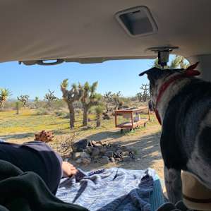 Joshua Tree Rancho