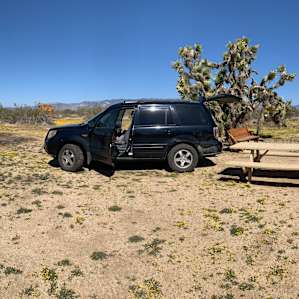 Joshua Tree Rancho