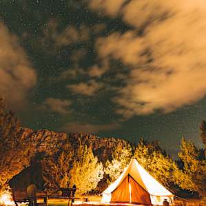amazing view of the stars
