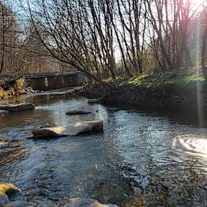 Creek
