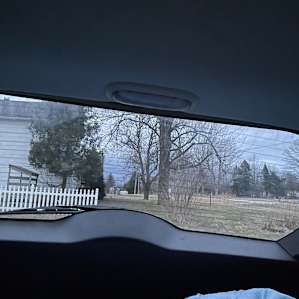 Facing the house and east.
