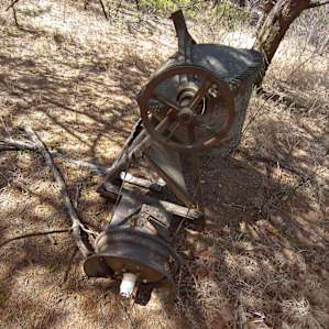 Found in the woods