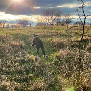 Marick Acres