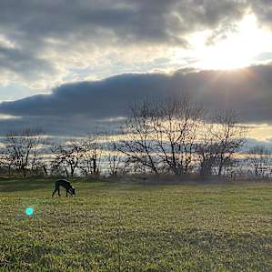 Marick Acres