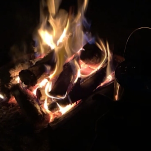 Outback Almonds Glamping