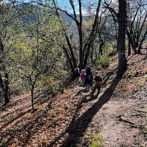 Footpath down from tent sites to common areas.