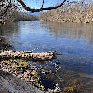 The River Life