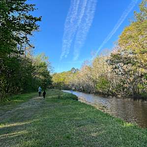 A walk down the creek path