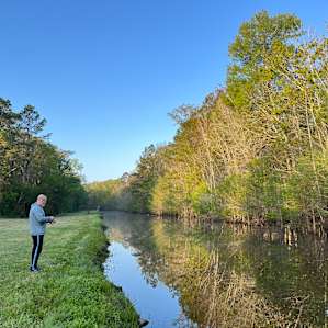 Creek Camping almost Glamping!