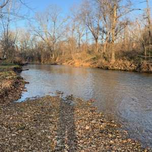 Camping on the Crystal Clear Creek
