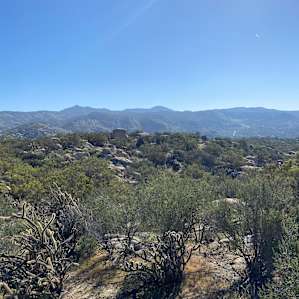 Outposts 1 site