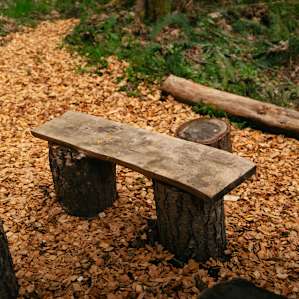 Carben Forest