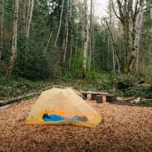 Carben Forest