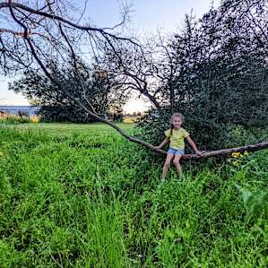 Firefly Ranch