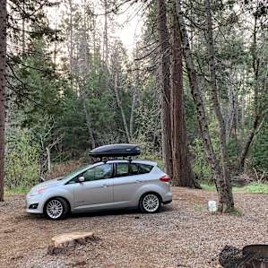 Actually site #7 which is by the creek