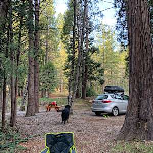 Site #7