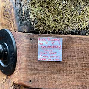 Heartwood Mendocino Cozy Cabin #4