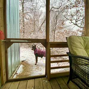 Beaver Point Cabin
