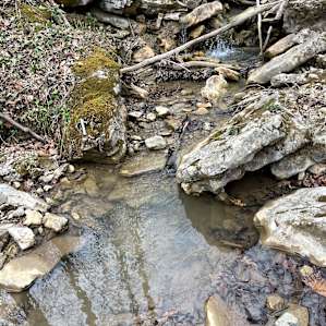 Bottom of the Falls LG wooded SITE
