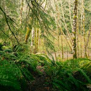 Salt Creek Meadows