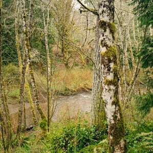 Salt Creek Meadows