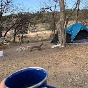 Forest Camping on Medina River
