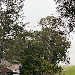 RV site