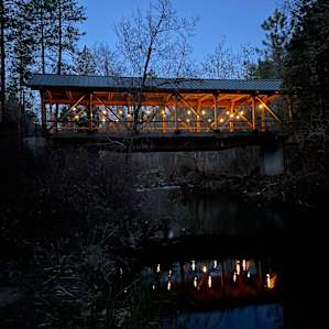 Forested creekside campsite