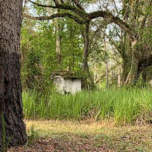 River by the Treehouse