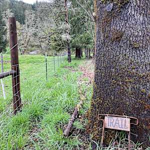 Trail marker
