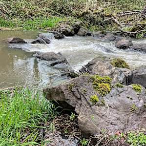 Along the trail