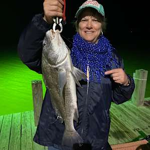 4/2/22-Black Drum, 6lbs, 24”, 9:30pm. Used dead shrimp on bottom with Carolina rig.