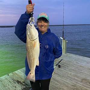 4/1/22, 8:00pm, 8 lb red drum, 26”. Used dead shrimp on bottom using Carolina rig.