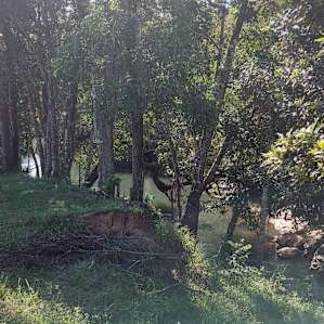 Cubby house down to creek