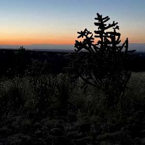 Golden Dawn - #1 HipCamp NM