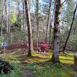 The Gypsy Rose Cabin