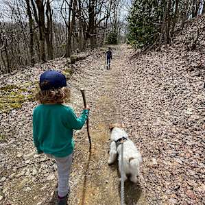 Hiking to Max Patch