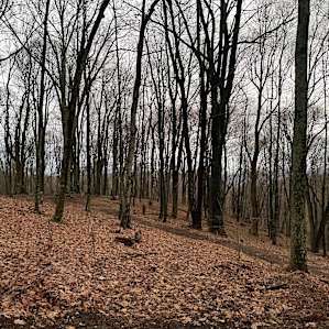 View from campsite - daytime