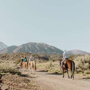 Canyon Trails Ranch Shepherd Wagons